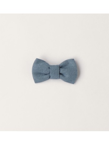 Papillon minibanda neonato