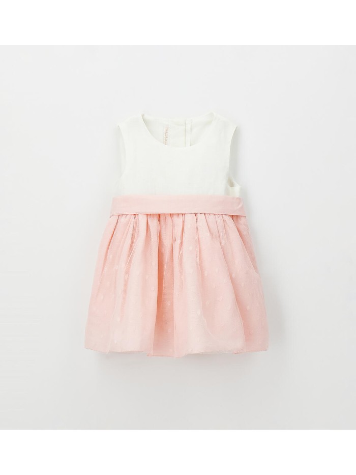 Vestina minibanda neonata