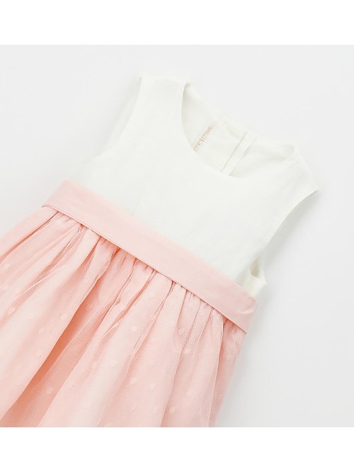 Vestina minibanda neonata