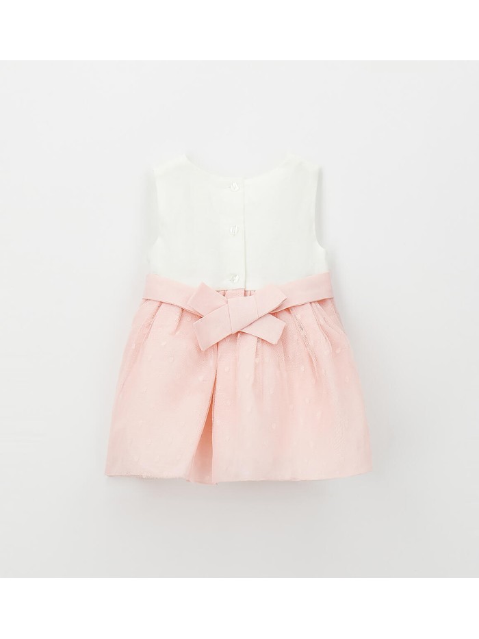 Vestina minibanda neonata