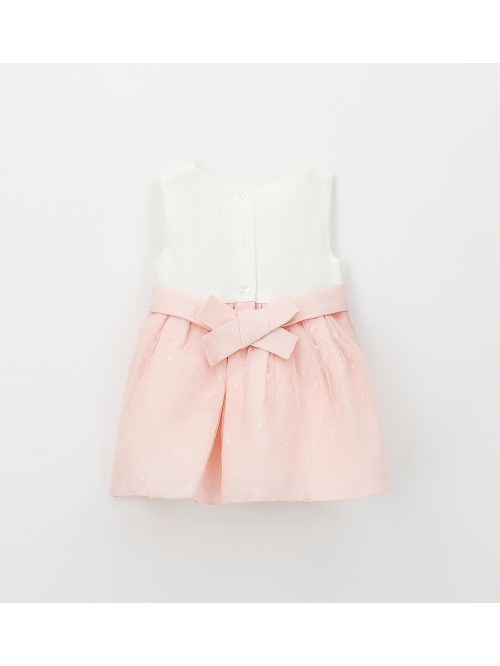 Vestina minibanda neonata