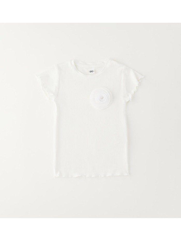 T-shirt ido baby e bimba