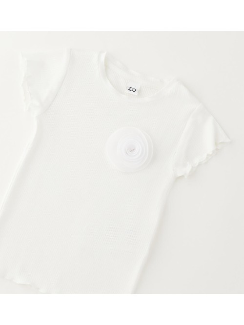 T-shirt ido baby e bimba