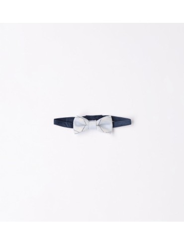 Papillon minibanda  neonato