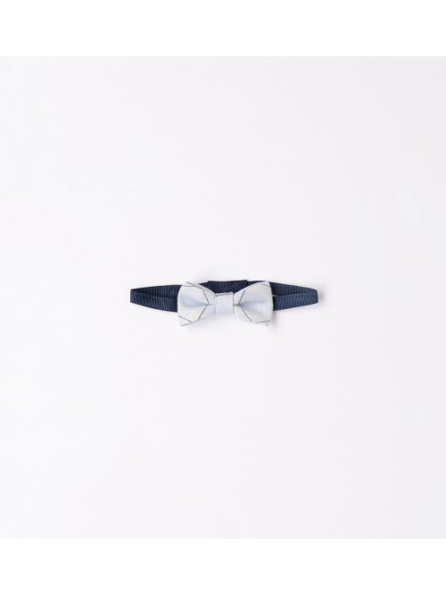 Papillon minibanda  neonato