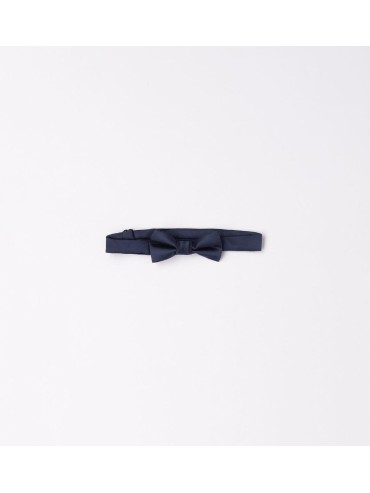 Papillon minibanda neonato