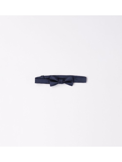 Papillon minibanda neonato