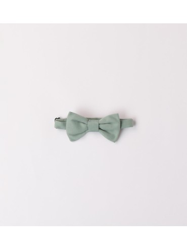 Papillon sarabanda bimbo