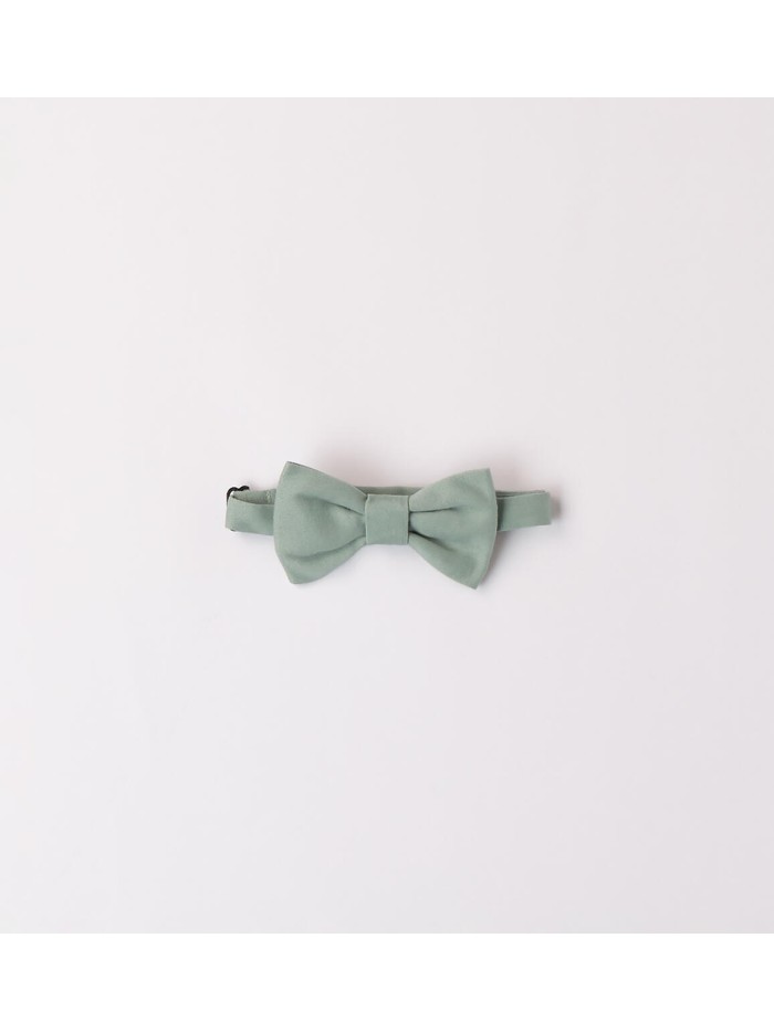 Papillon sarabanda bimbo