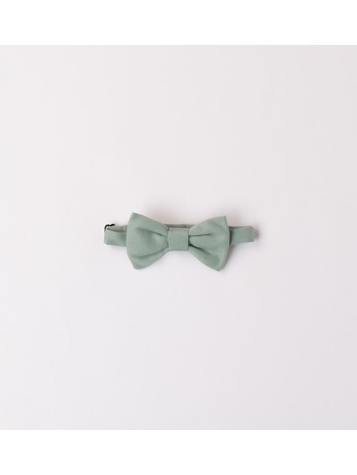 Papillon sarabanda bimbo