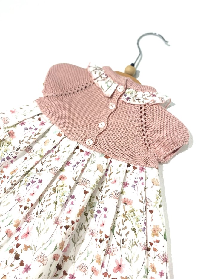 Vestina juliana neonata