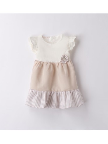 Vestina minibanda neonata