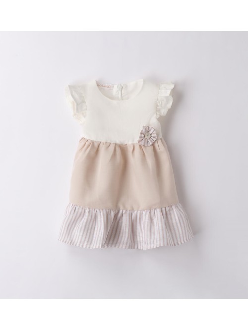 Vestina minibanda neonata