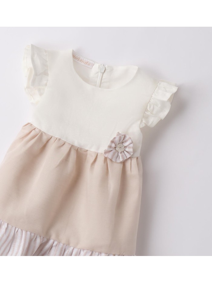 Vestina minibanda neonata