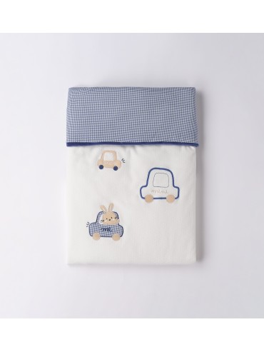 Copertina idomini nascita