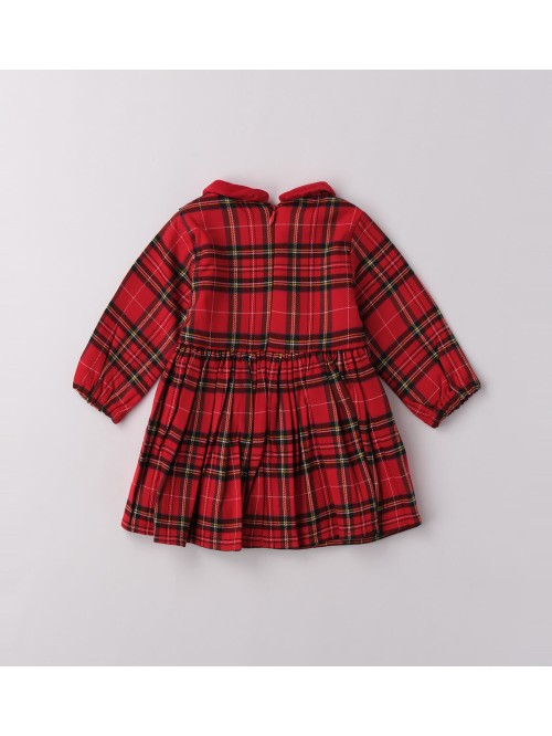 Vestina idomini neonata