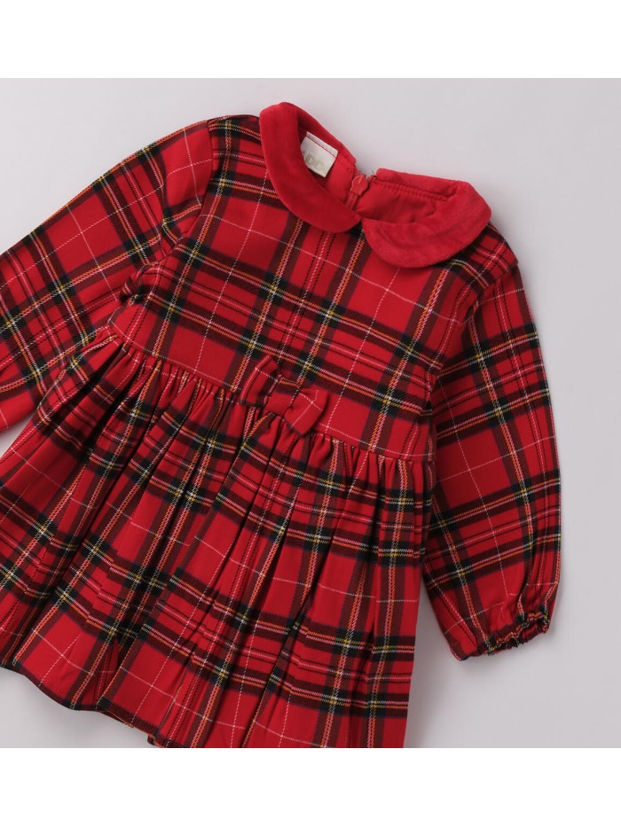 Vestina idomini neonata