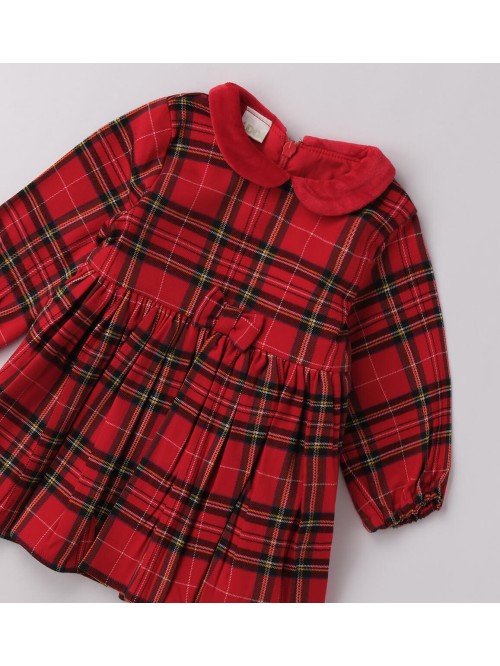 Vestina idomini neonata